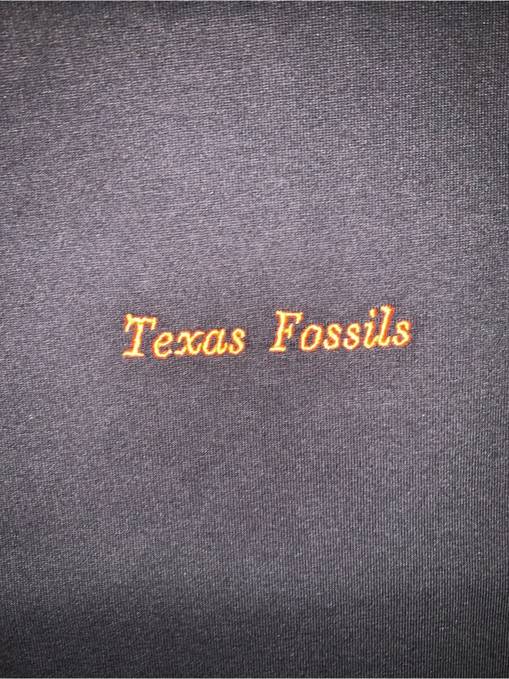 Nike ACG Dri-FIT Loose Fit Black Texas Fossil Graphic T-Shirt Size: Small